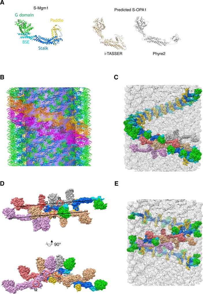 Figure 3—figure supplement 2.