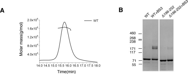 Figure 1—figure supplement 1.