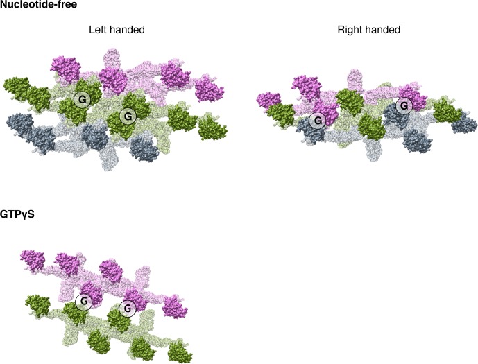 Figure 3—figure supplement 5.