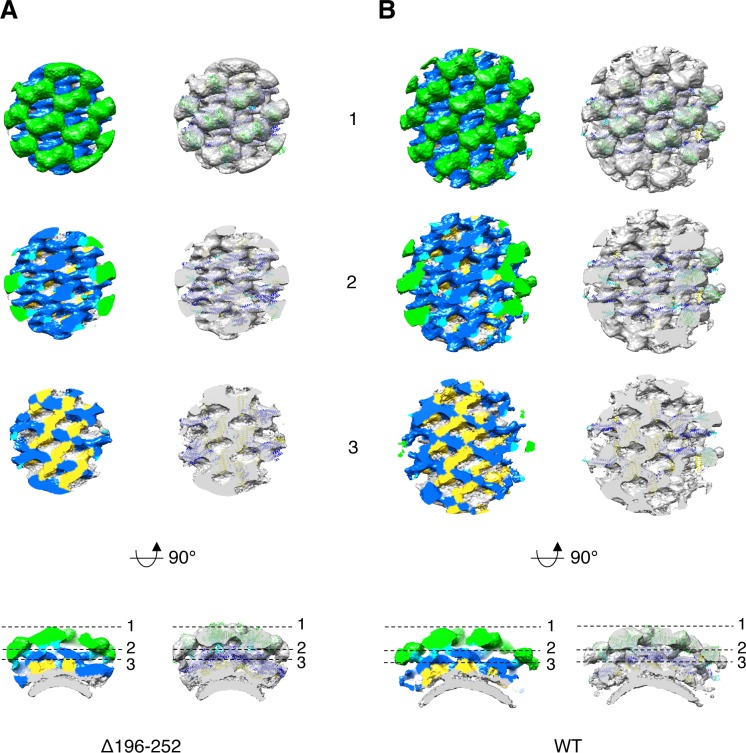 Figure 2—figure supplement 2.