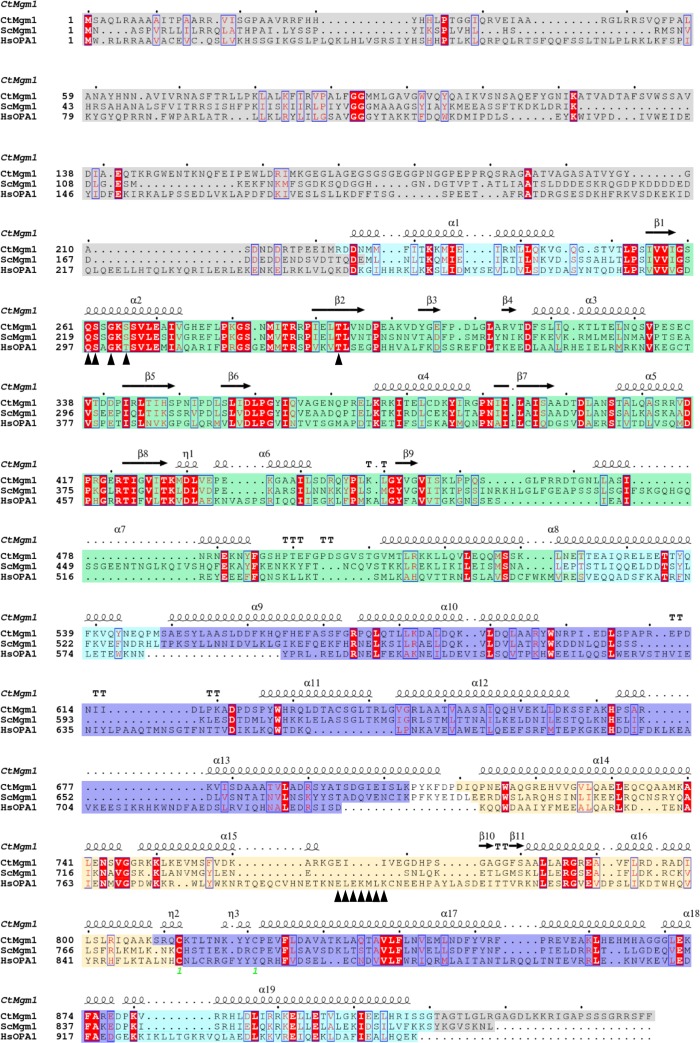 Figure 3—figure supplement 1.