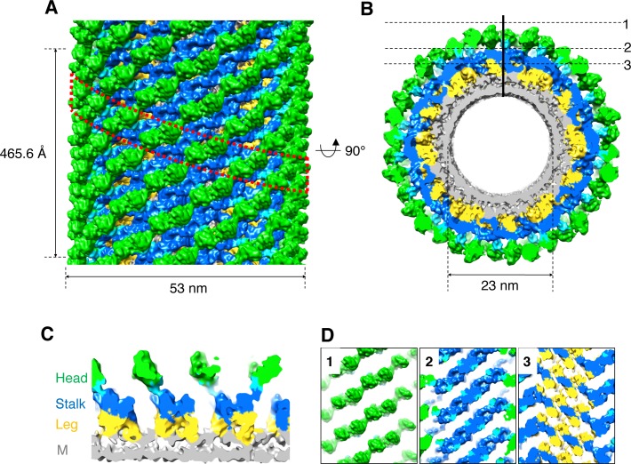 Figure 2.