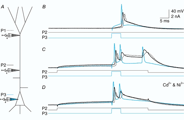 Figure 13