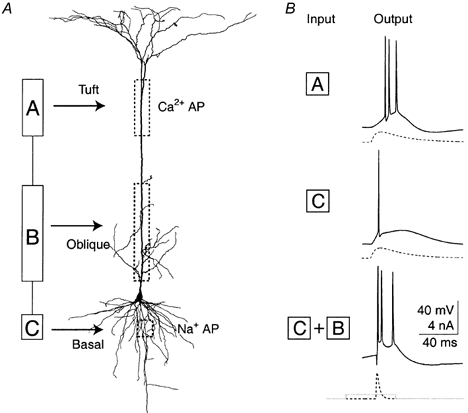 Figure 16