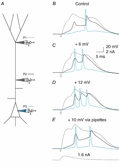 Figure 11