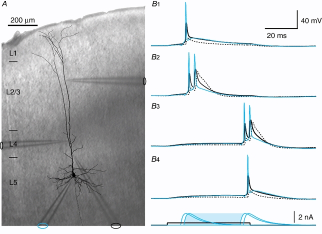 Figure 14