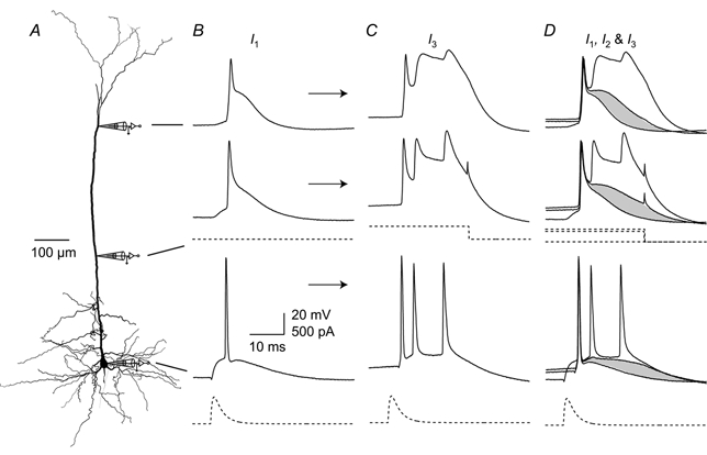 Figure 12