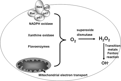 FIG. 1.