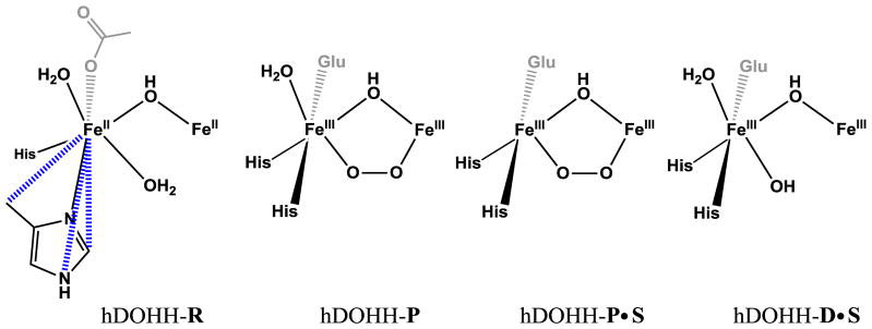 Scheme 2