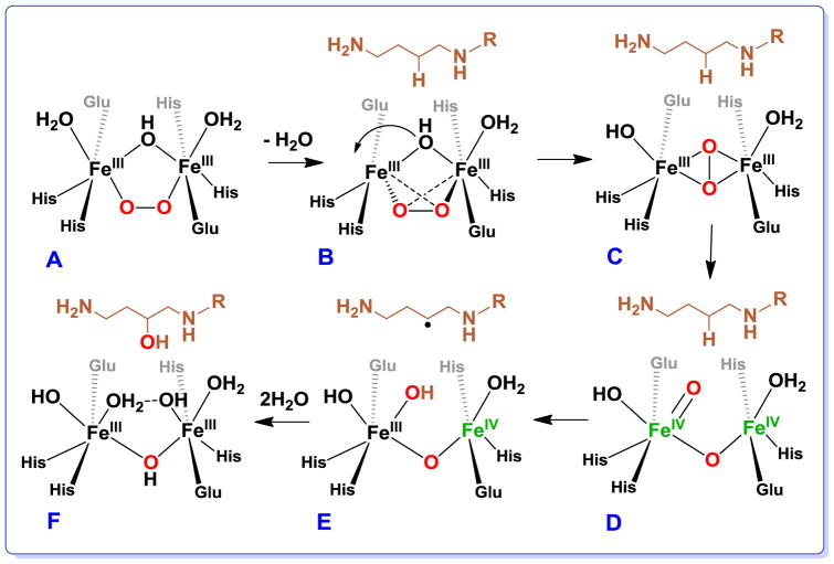 Scheme 3