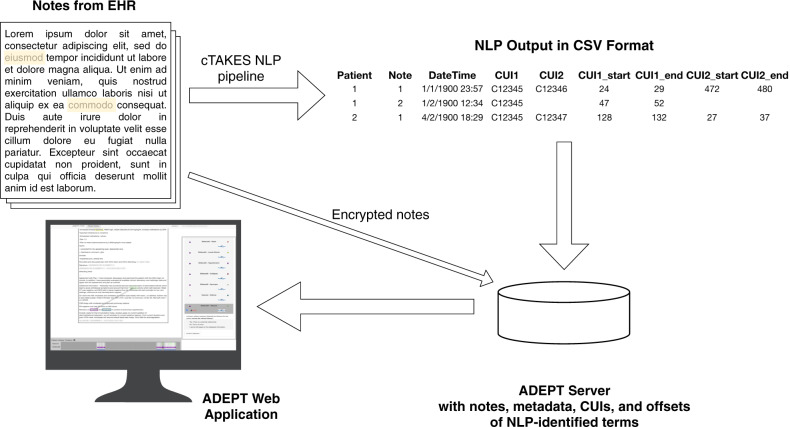 Figure 1: