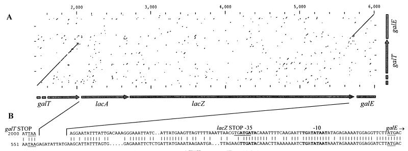 FIG. 5