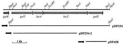 FIG. 1