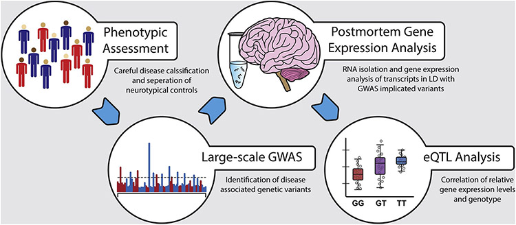 Figure 1: