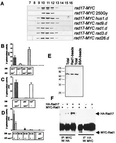 FIG. 5