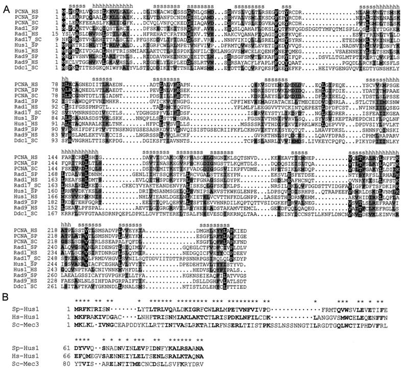 FIG. 6