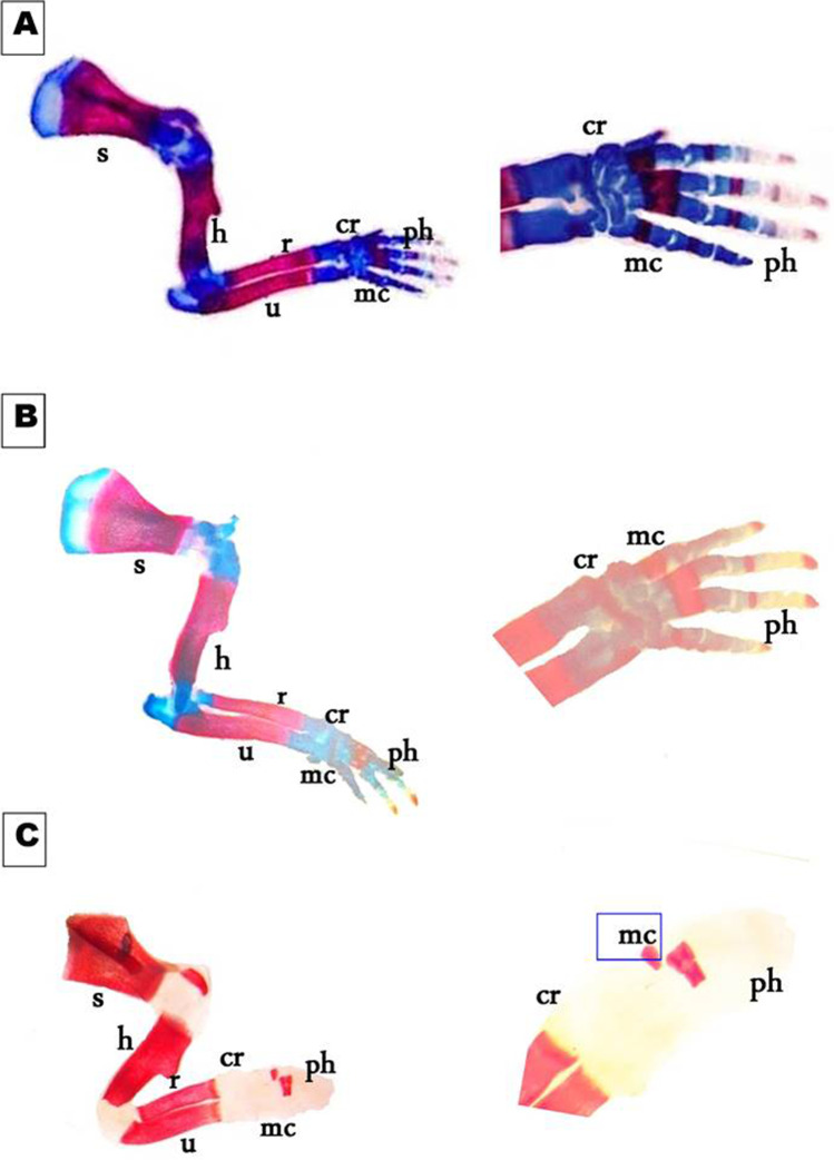 Fig. 7