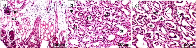 Fig. 13