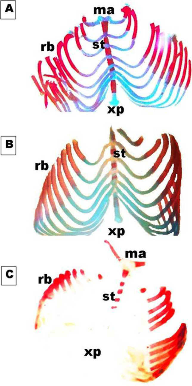 Fig. 6