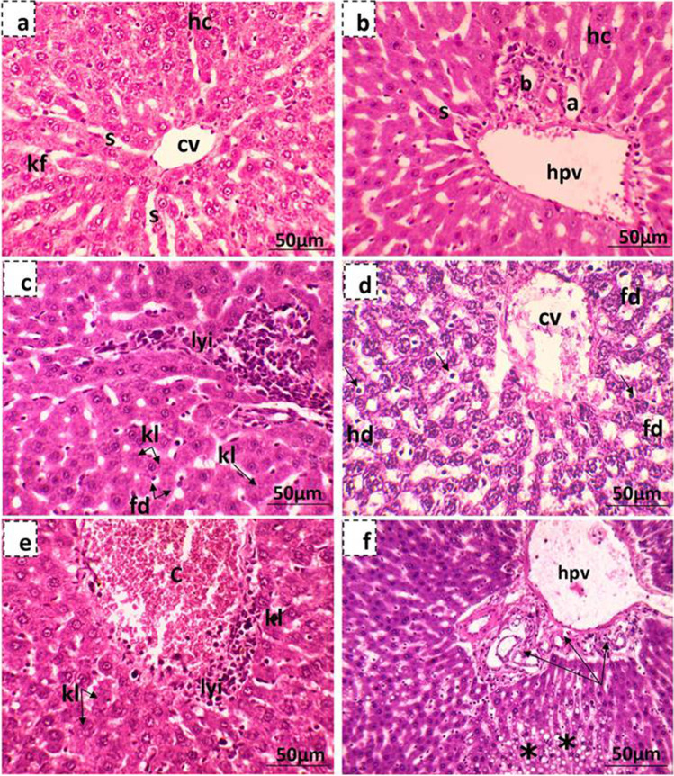 Fig. 10