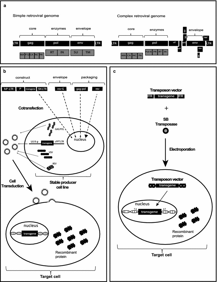 Fig. 1