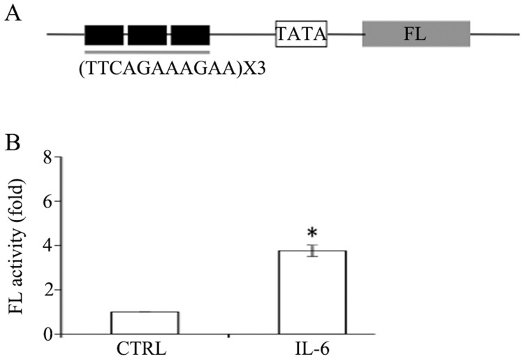 Fig 5