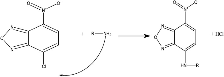 Scheme 3