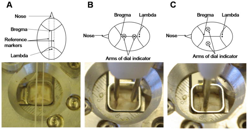 Fig. 5