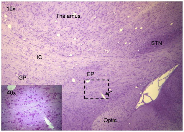 Fig. 7