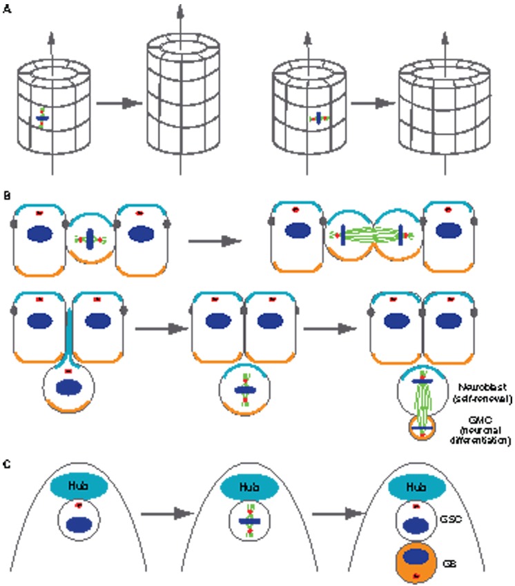 Fig. 3.