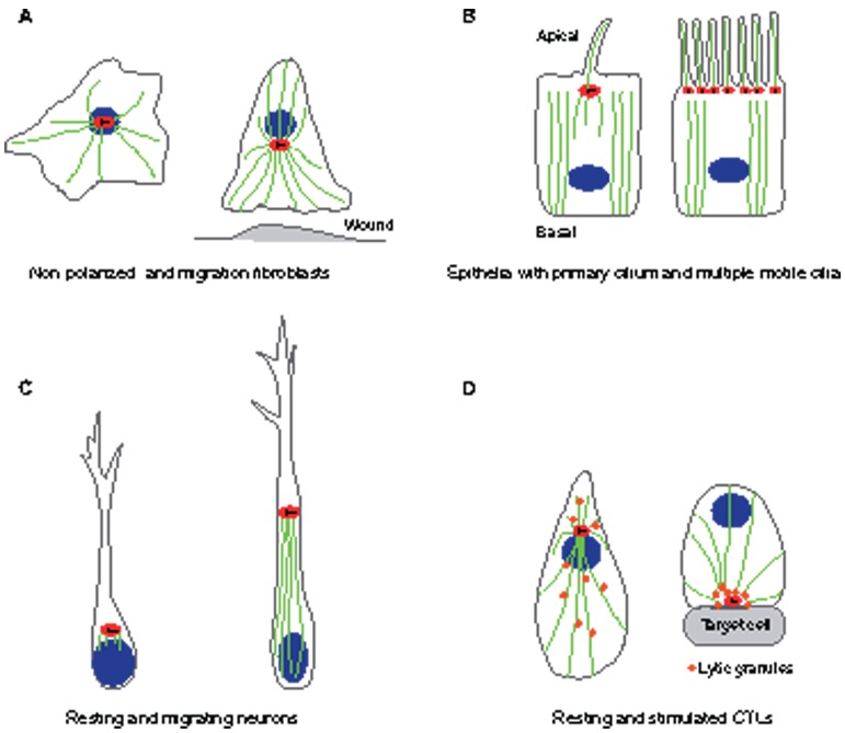 Fig. 2.