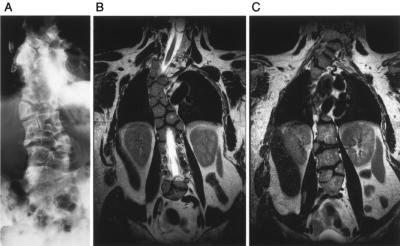 Figure  1