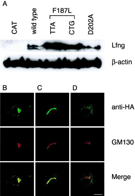 Figure  4