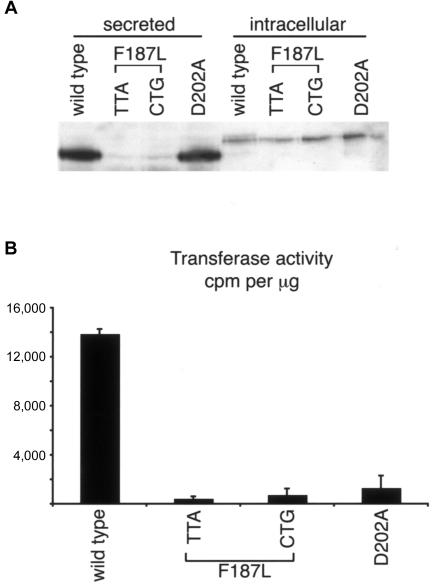 Figure  5