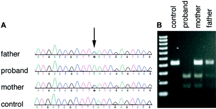 Figure  2