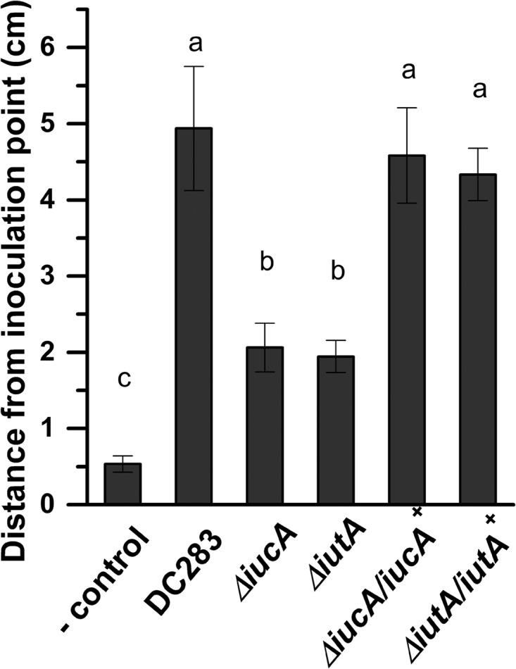 FIG 10