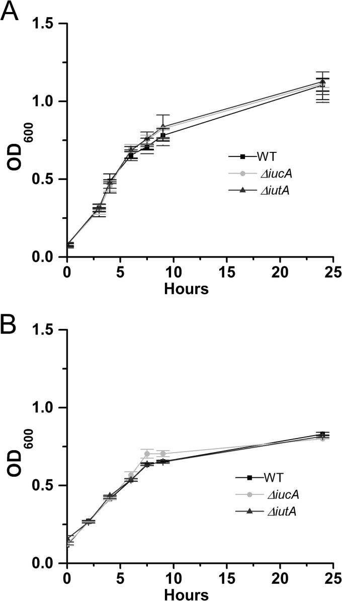 FIG 4