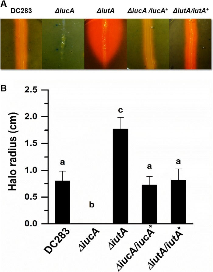 FIG 2