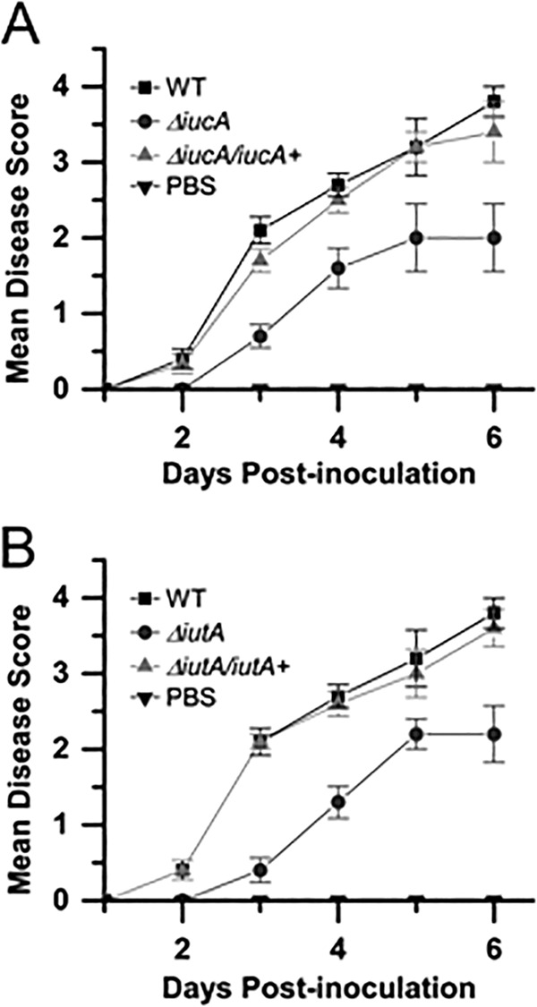 FIG 11