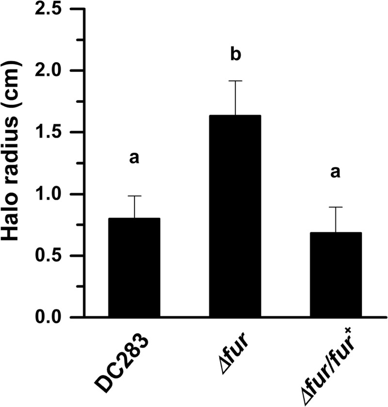 FIG 7