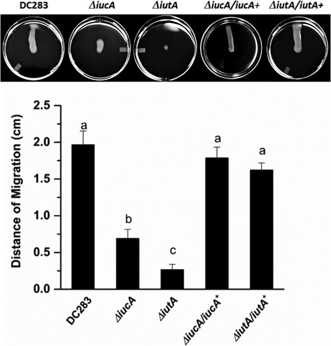 FIG 3