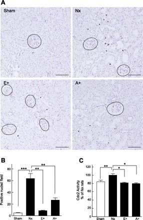 Fig. 8.