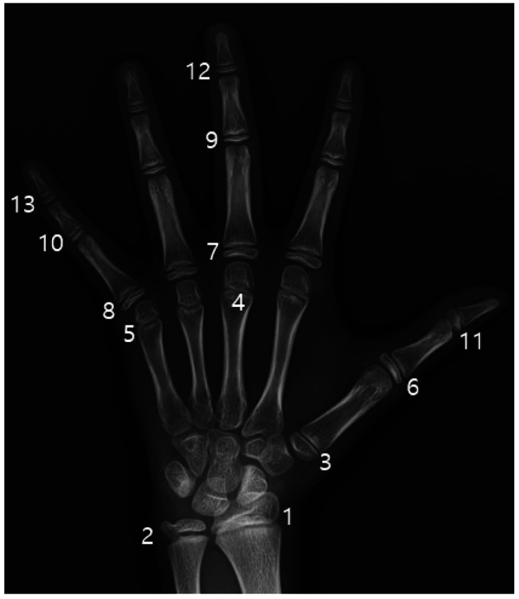 Fig. 1