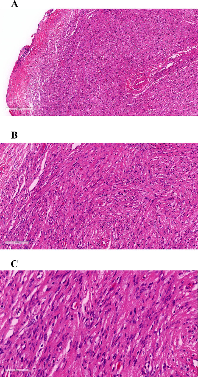 Fig. 3