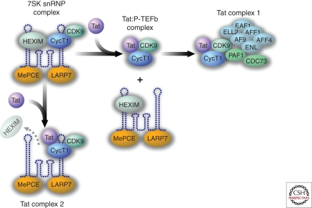 Figure 4.