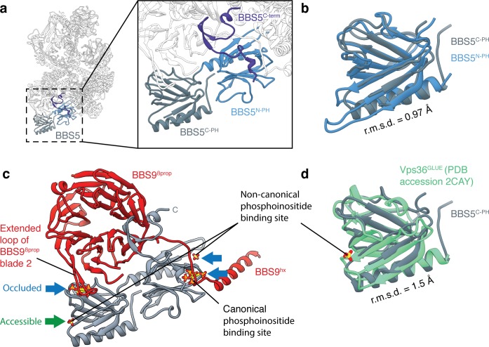 Figure 5.