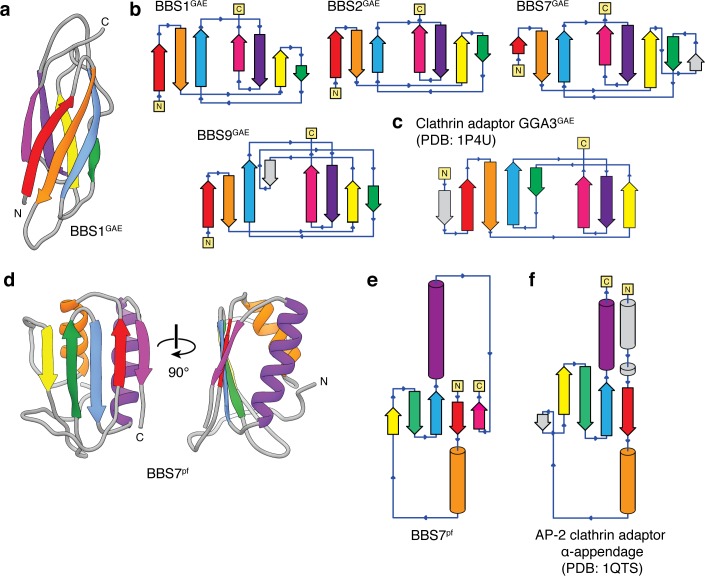 Figure 3—figure supplement 1.