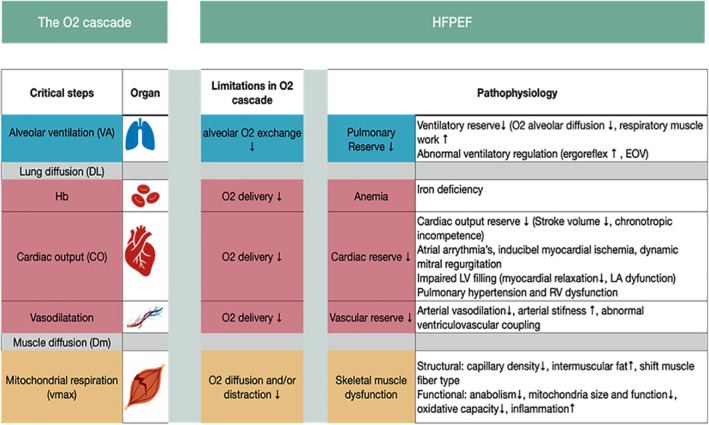 EJHF-2601-FIG-0002-c