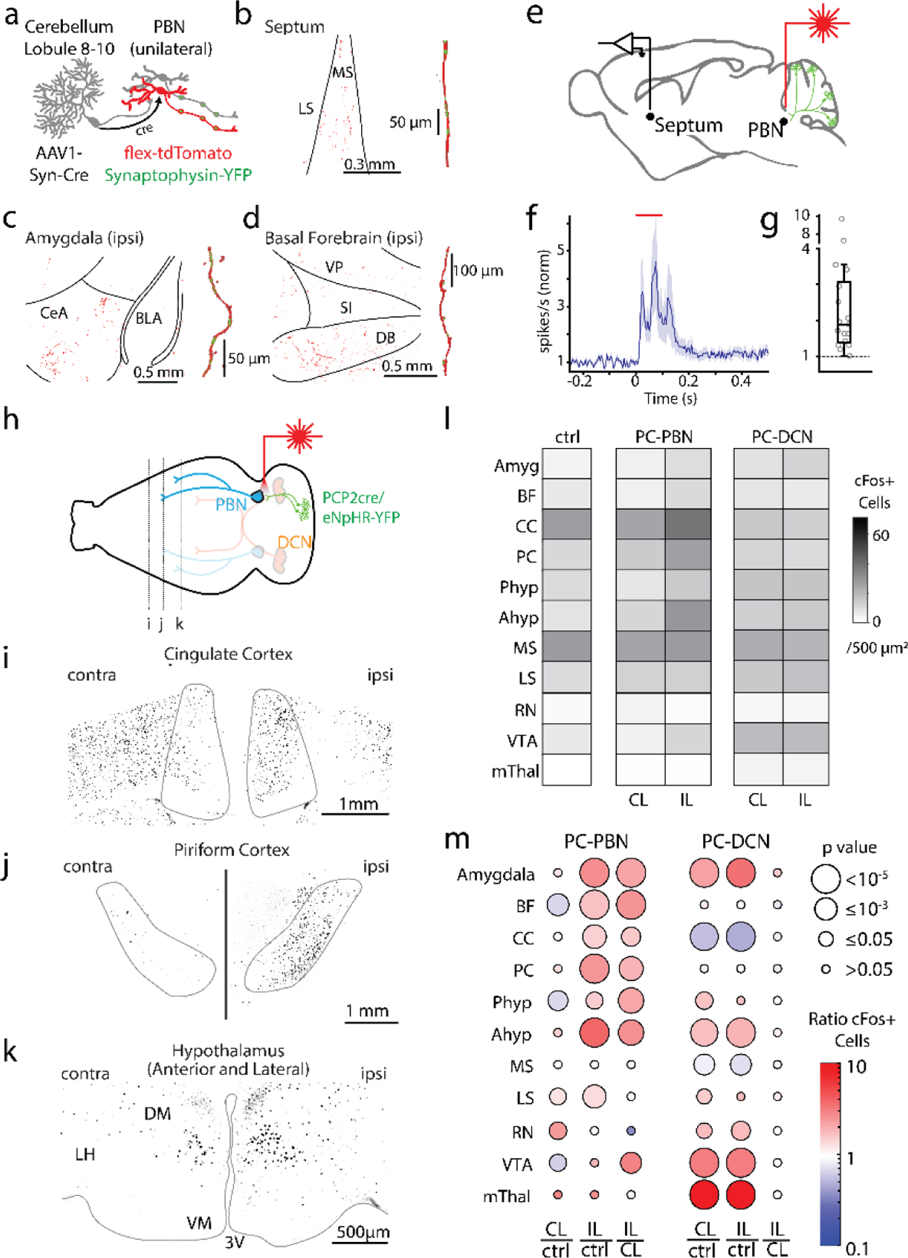 Fig. 4: