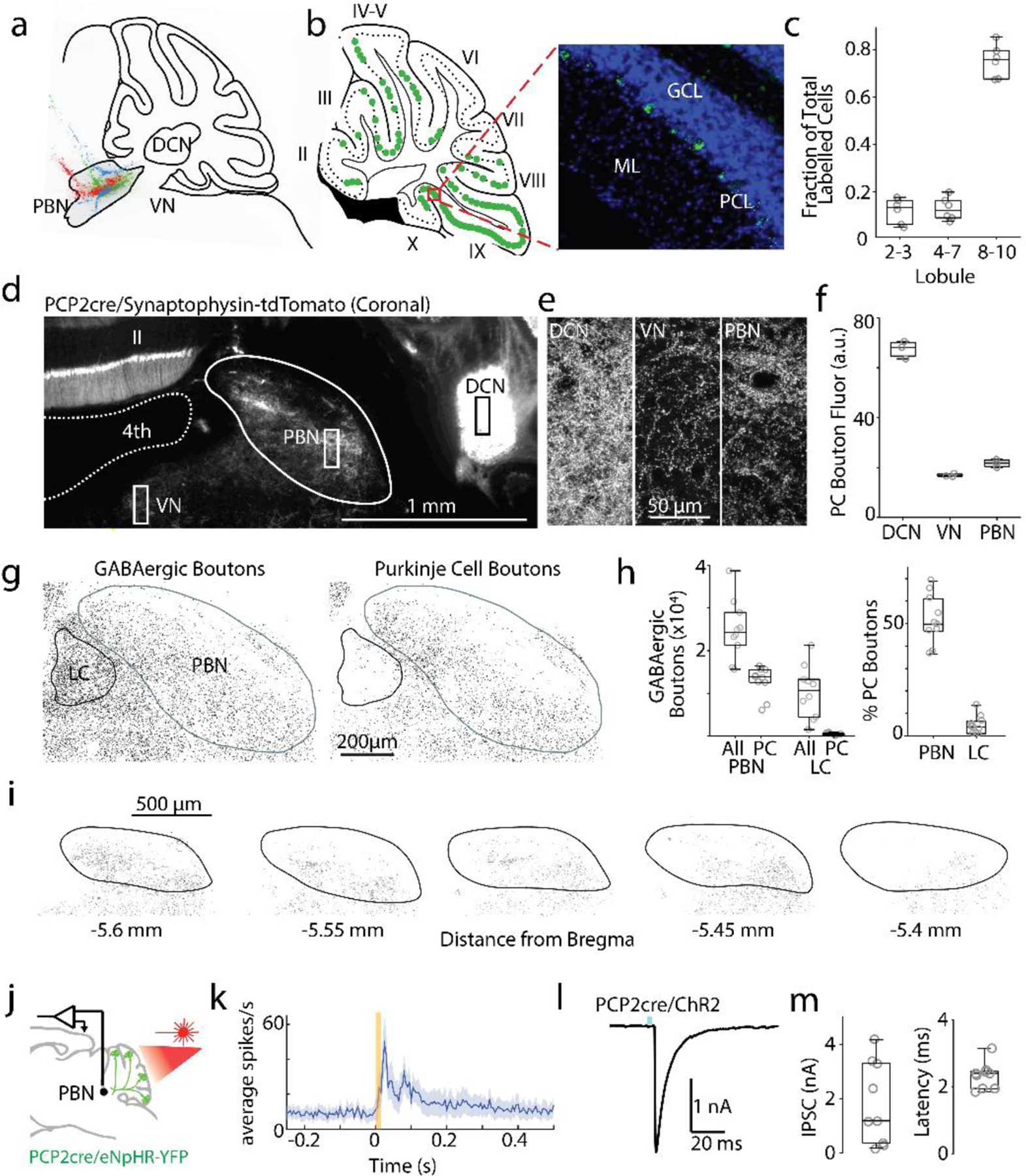 Fig. 2: